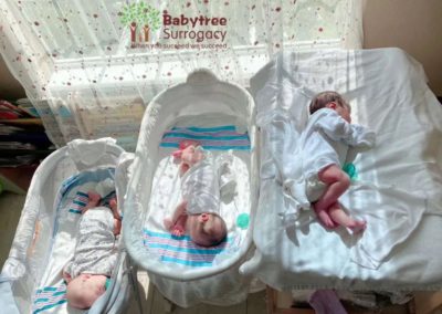 BabyTree surrogacy photo