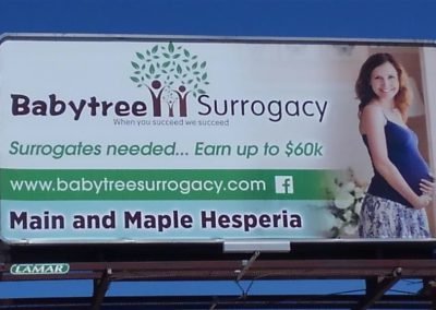 BabyTree surrogacy photo