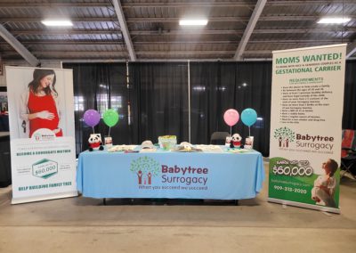 BabyTree surrogacy photo