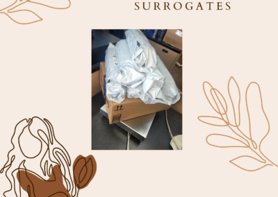 BabyTree surrogacy photo