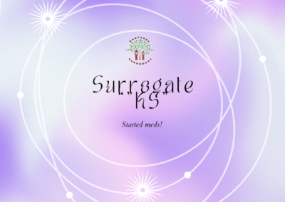 BabyTree surrogacy photo