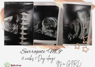 BabyTree surrogacy photo
