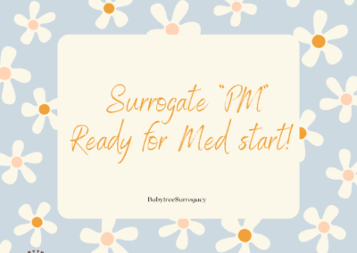 BabyTree surrogacy photo