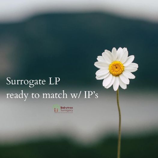 the fun part!! surrogate lp ready to match with ip’s!, lp match ip