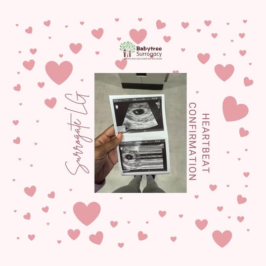 events, 0113heartbeat confirmation